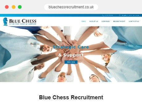 Blue Chess Recruitment website